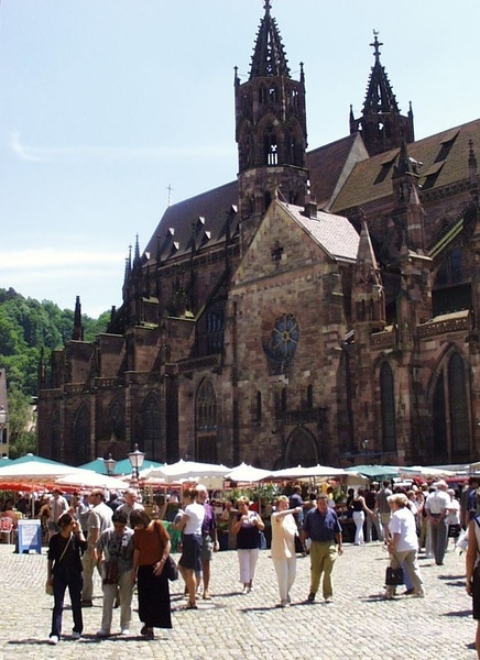 Freiburger Münster Freiburger Münster