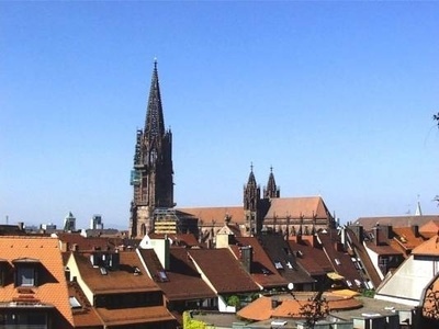 Freiburger Münster Freiburger Münster