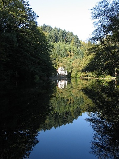 Waldsee Waldsee