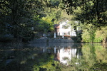 Waldsee